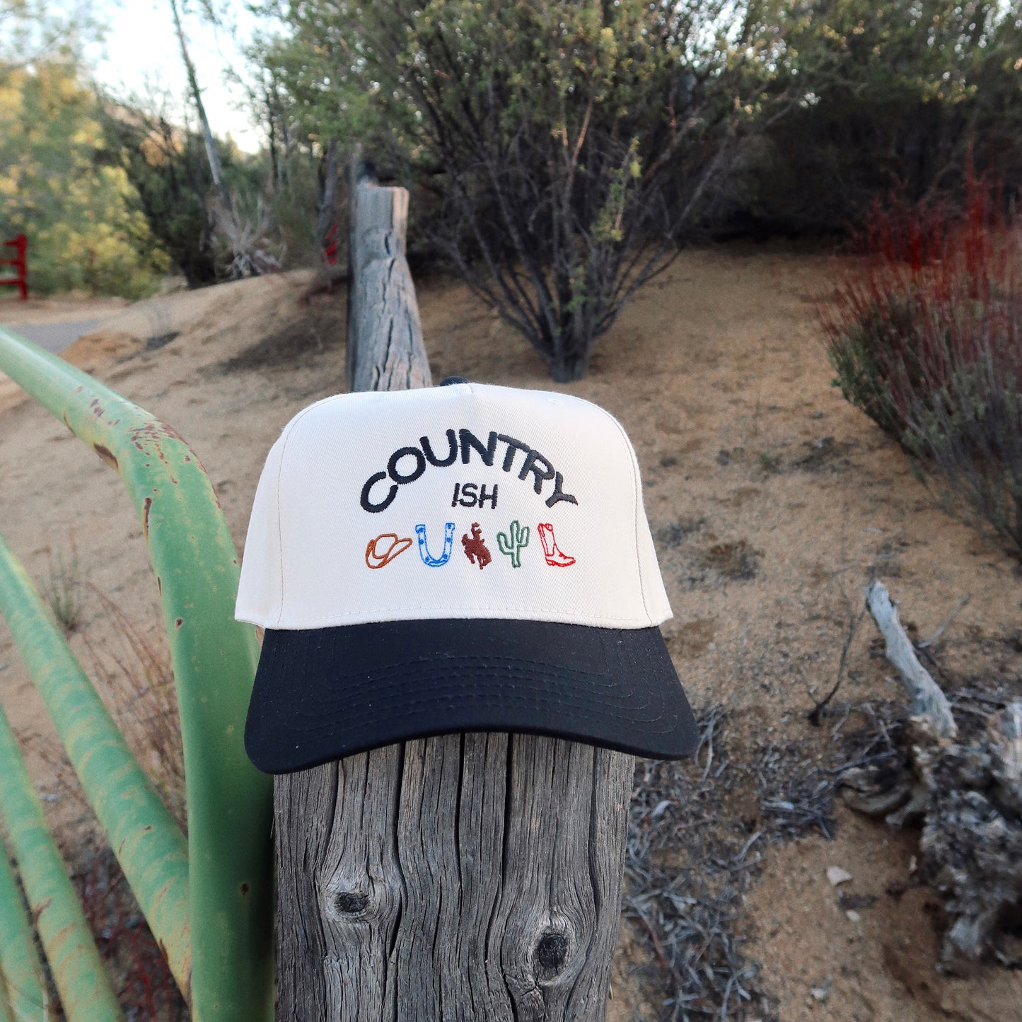 Country-ish Embroidered Hat