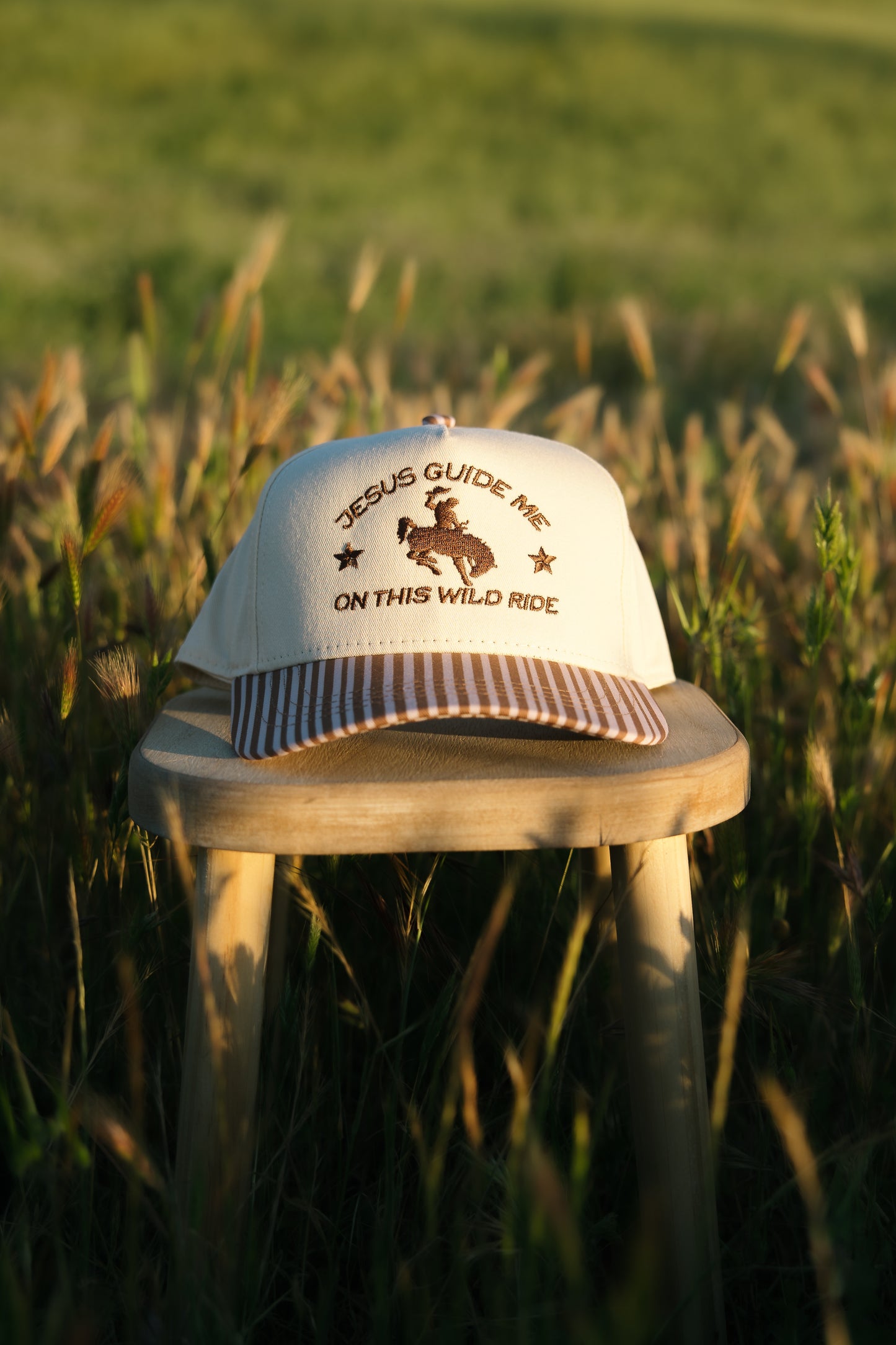 Jesus Guide Me On This Wild Ride- Brown Striped Hat