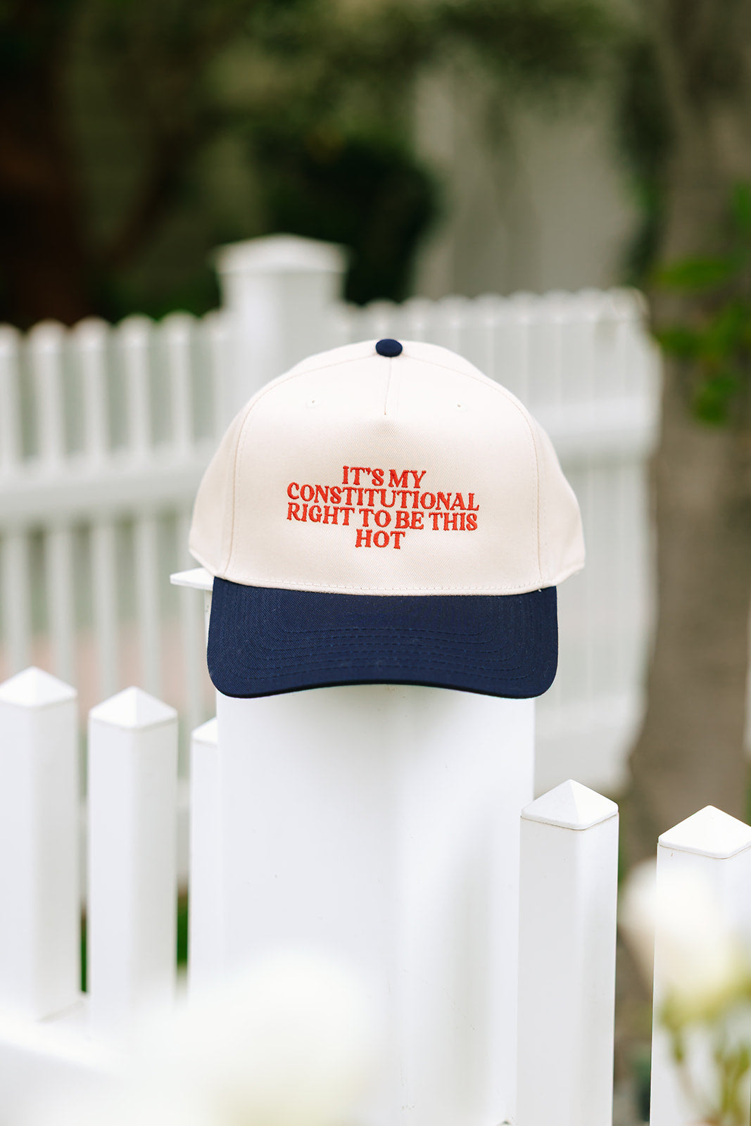 It's My Constitutional Right To Be This Hot Embroidered Hat