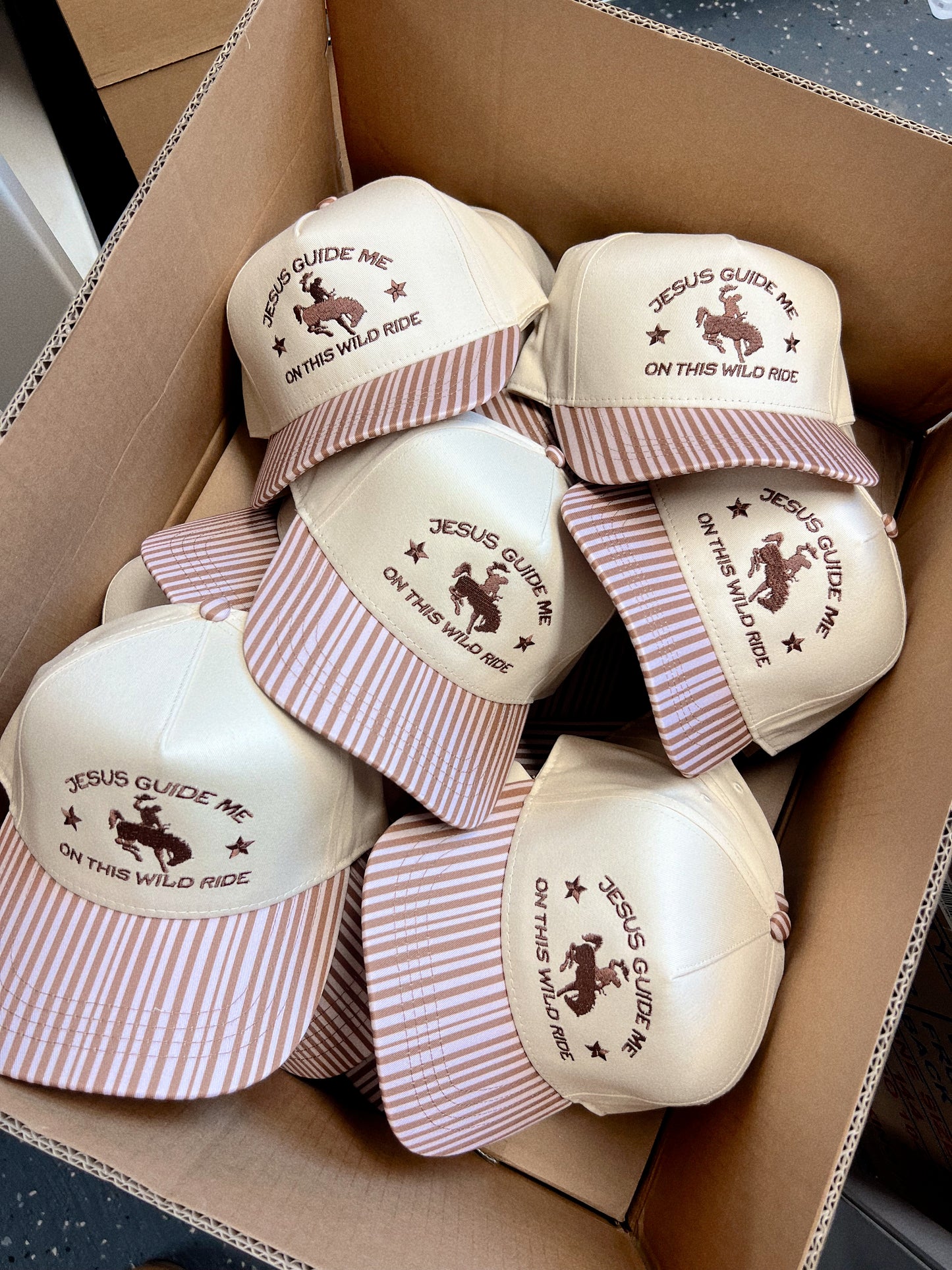 Jesus Guide Me On This Wild Ride- Brown Striped Hat