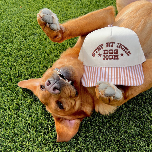 Stay At Home Dog Mom- Brown Striped Hat